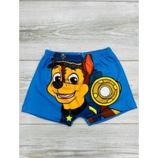 Neat Kids Erkek Çocuk Paw Patrol Deniz Şortu Mayo