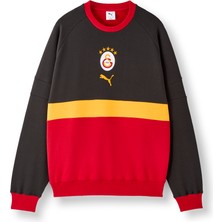 Gs Store Galatasaray Puma Culture Sweatshirt 78771003