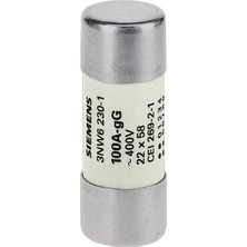 Siemens 3NW6222-1 22X58MM 63A Kartuş Sigorta