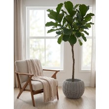 Meander Home - Sentetik Hasır Saksı | El Emeği