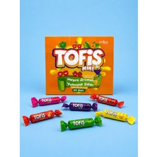 Evliya Şekerleme Tofiş Mini Meyveli Yumuşak Şekerleme 100 Adet Kutu (480G)