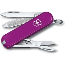 Victorinox 0.6223.52G Tasty Grape Classic Çakı