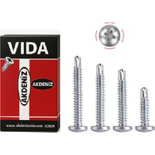 Caftra Akdeniz Matkap Uçlu Vida Ysb 3.9X13 mm 2000LI Paket