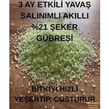 Sağlam Tarım İnhibitörlü (Yavaş Salınımlı , N21 - DCD) Amonyum Sülfat, Akıllı Çim Gübresi
