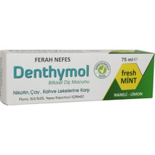 Denthymol Fresh Breath Bitkisel Diş Macunu 75 ml