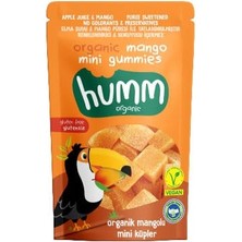 Humm Organic Organik Glutensiz Vegan Mangolu Mini Küpler, 30G