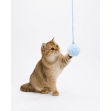 Mavi Ponponlu, Yapışkanlı Yaylı Kedi Oyuncağı; Zilli ve Tüylü Top