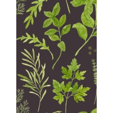 Independently Published Watercolor Herbs (Botany) Journal, 5.7 x 8, Softcover