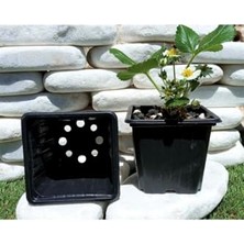 15 Adet 9X9X8 cm Siyah Vakum Fide Saksısı
