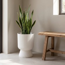 Poliva Home Lotus 10.5 Litre Büyük Boy Çizgili Ayaklı Saksı Beyaz