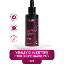 Store Viniferine Yenileyici ve Detoks Etkili Gece Bakım Yağı 30ML – Üzüm Çekirdeği, Kuşburnu, E Vitamini