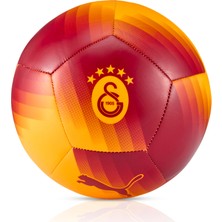 Gs Store Galatasaray Puma Top 08543201