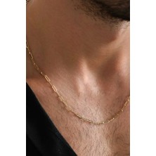 Ricco Jewellery 14 K Gold Kaplama 925 Ayar Gümüş Old Money Ataç Kolye