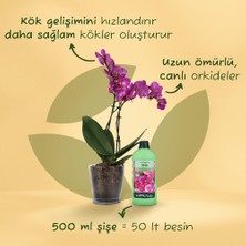Store Orkideler Için Sıvı Bitki Besini 500 ml