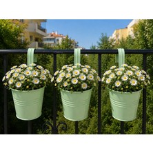 Store Askılı Balkon Saksı Seti, 3 Adet, Metal, Açık Yeşil 1,5lt
