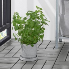 Store Saksı Altlığı, Açık Gri, 15 cm