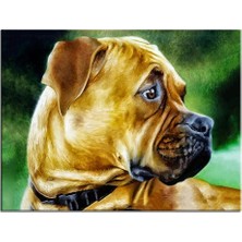 Store Talya Koruma Köpeği Buldog Kanvas Tablosu. Köpek Kuş At Aslan, Eski Harita, Oldmap, Antik Mısır, Uzay, New York Atatürk Dekoratif Duvar Pano (50X35)