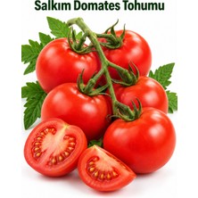 ByKurt Sunagri Salkım Domates Tohumu Bahçe Saksı Sera Yetiştiriciliğine Uygun 50 Adet