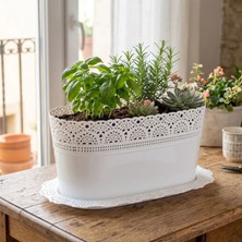 Serinova Oval Dantel Desenli Tabaklı Saksı 3.7 Litre (28 cm) - Ev ve Balkon Çiçekliği Beyaz