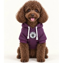 Patilemece Mürdüm Baskılı 3 Iplik Kedi Köpek Swetshirt
