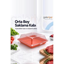 Galeriyo Derin Dondurucu Saklama Kabı Orta Boy Turuncu
