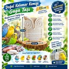 Feroxit Doğal Kalamar Kemiği Gaga Taşı 7,5 cm | Kuşlar Için Mineral Blok | Muhabbet Kuşu, Kanarya, Papağan, Sultan Kuşu Için Yumurta Kabuğu Güçlendirici