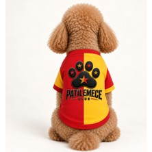 Patilemece Sarı Kırmızı Baskılı Kedi Köpek T Shirt
