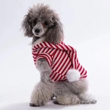 Pawstar 25732 - Candy Cane Yelek Örme Kazak