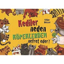 Kediler Neden Köpeklerden Nefret Eder