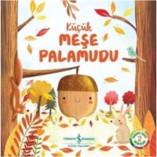 Doğanın Eşsiz Hikayeleri 2 - Küçük Meşe Palamudu