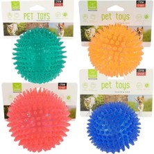 Nunbell Suda Batmaz Termoplastik Kirpi Top Köpek Oyuncağı 10 cm (1 Adet)