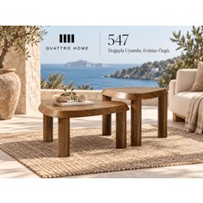 Quattro Home Lunera 547 Ikili Ahşap Orta Sehpa Takımı