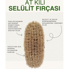 Store At Kılı Selülit Fırçası