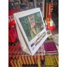 Store Kare Masa Takvimi, Kediler, Çok Renkli