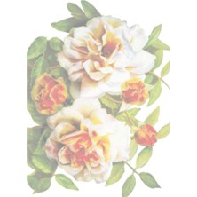 Store Küçük Kolay Transfer 17X24 cm Koyu Zemin 1264K