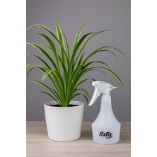 Lexroo MP872 YAĞMUR500 PRO10 Endüstriyel 1.0cc Fısfıs 0,5litre