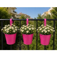 Lexroo Askılı Balkon Saksı Seti, 3 Adet, Metal, Şeker Pembe 1,5lt