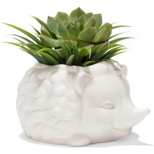 Lexroo Kirpi Saksısı - Sevimli Seramik Hayvan Sukulent Bitki Saksısı - 7,8 cm x 14,8 cm x 13 cm