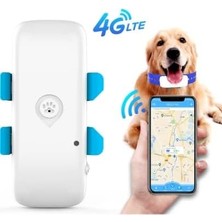 Store PT32 Evcil Hayvan Gps Takip Cihazı