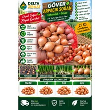Delta Ziraat Göver Soğan Tohumluk Kıska Set Soğanı - Bahçe ve Saksı Için – Taze Yeşil Soğan ve Kuru Soğan Için – 500 gr / 1 kg / 3 kg / 5 kg