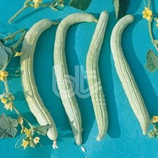 Verimli Turşuluk Geleneksel Anadolu Acur (50 G)