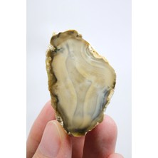 Healcrystal Topraksı Kahve ve Krem Dendritik Opal Merlinit Dilimi, 35G