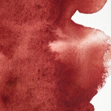 Aydogan's 0102507 Professional Watercolours (En Iyi Sanatçı Sulu Boya – 5 ml Tüp Mümkün Olan En Yüksek Pigmentasyon, Mükemmel Işık Haslığı) Perilen Kestane, 2 x 1,3 x 6,6 cm