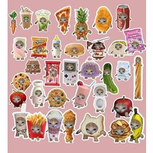 Aydogan's Şapşal Kedi Komik Kedi Sticker Paketi/bullet Journal Defter Çıkartma Ajanda Laptop Etiket