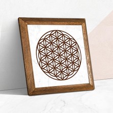 Aydogan's Pinecone Yaşam Çiçeği Taş Duvar Tablosu - Ahşap Çerçeveli Taş Tablo - 25X25 cm - Dekoratif Duvar Sanatı - Modern Ev ve Ofis Duvar Dekoru W1-176