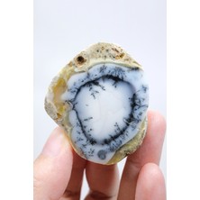 Healcrystal Halkalı Göz Desenli, Buz Mavisi ve Beyaz Dendritik Opal Örneği, 59 G