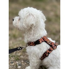Köpek Göğüs Tasması H Tipi Orta ve Büyük Irk Ayarlamalı Kolon Kordon & Kot Gri (Leopard, Xs)