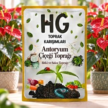 Hg Antoryum Çiçeği Toprağı