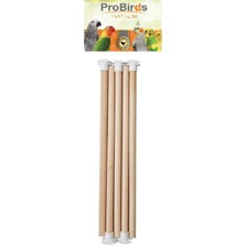 Orevio Plastik Başlıklı Tahta Tünek, 5'li Set, 12 Mm, 30 cm