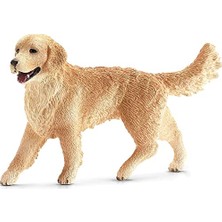 Kazan Hobi Farm World-Dişi Golden Retriever
